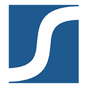 Synergy logo